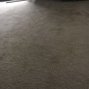 Meet your Posher, Nimeshika