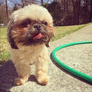 Meet your Posher, Tyler