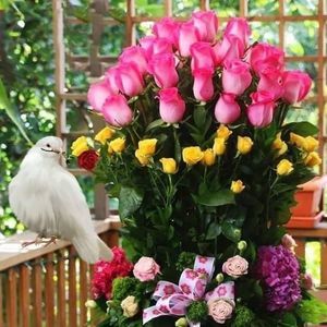 Meet your Posher, Sandy