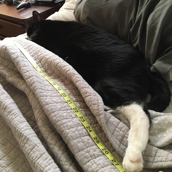 Sammi, Queen of sending you stuff - Picture 3 of 3