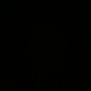 Meet your Posher, Zoe