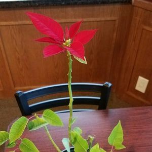 Meet your Posher, Gloria