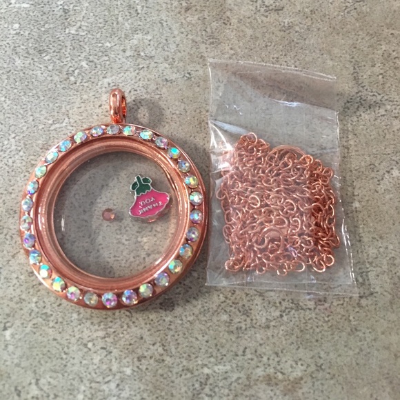 👑 Floating Magnetic Locket 👑 - Picture 2 of 4