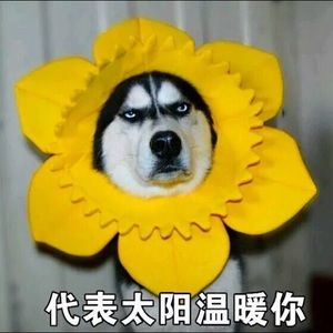 Meet your Posher, Li