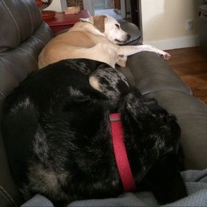 Meet your Posher, Rebecca