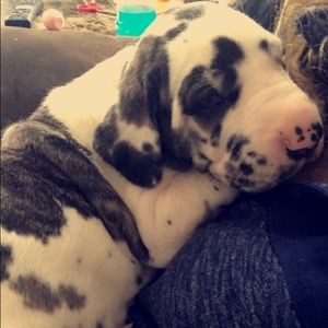 Meet your Posher, Tresa