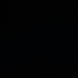 Meet your Posher, Rose