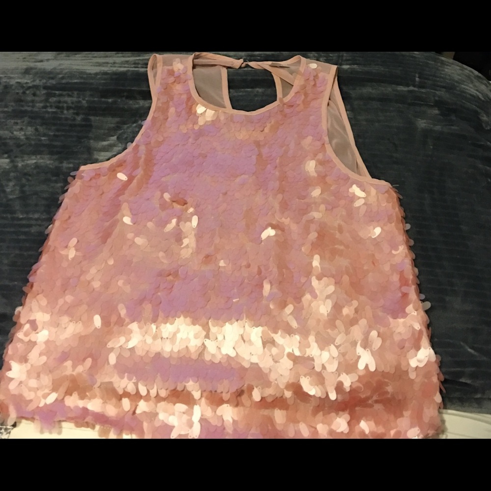 Sheer Sequin Top