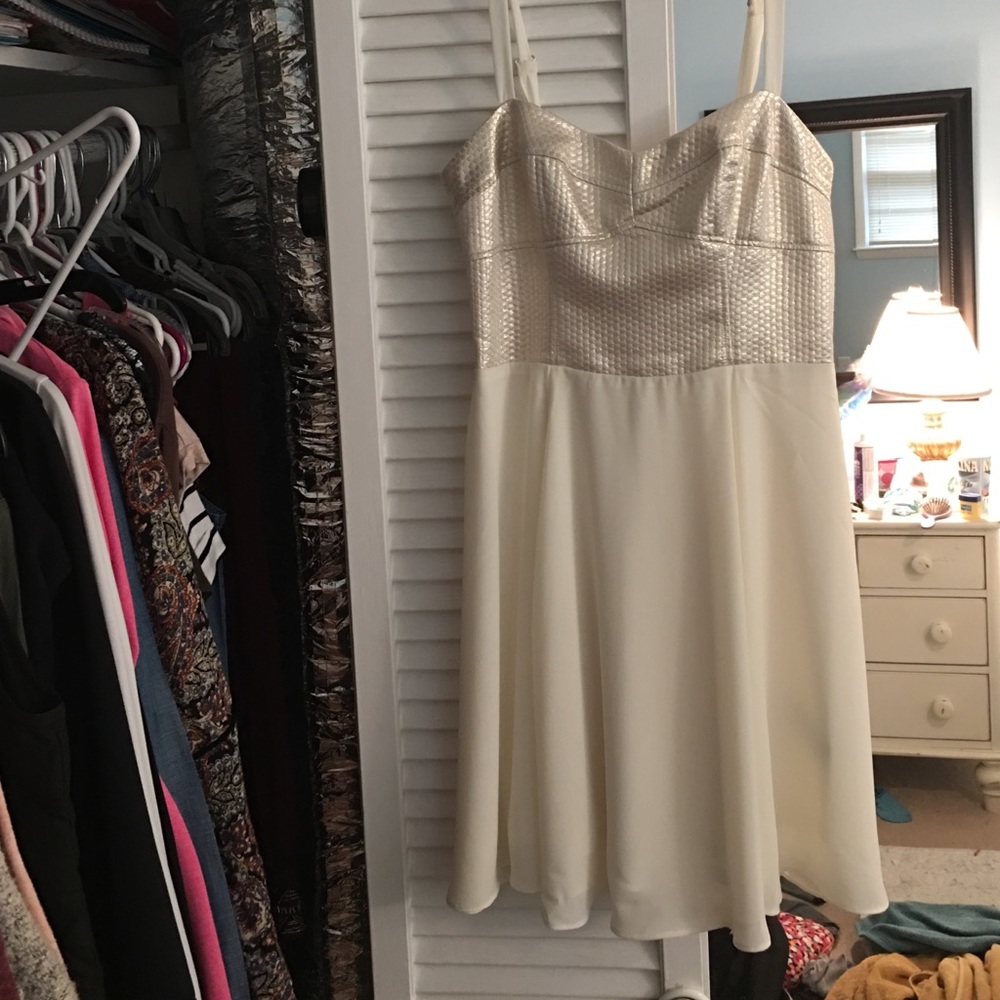 Brand New Express Dress