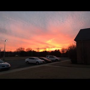 Meet your Posher, Hayley