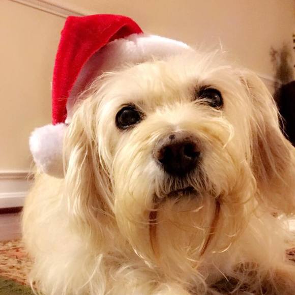 Meet your Posher, Kelly - Picture 1 of 1