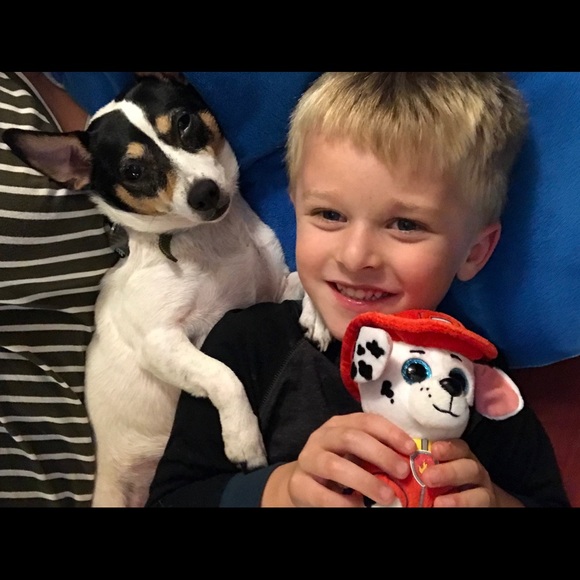 Meet your Posher, Whitney - Picture 2 of 4