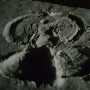 Meet your Posher, Hayley