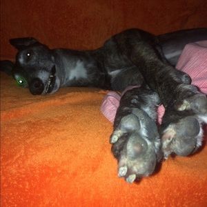 Meet your Posher, Pauline