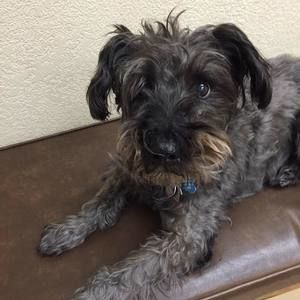 Meet your Posher, Lindsay