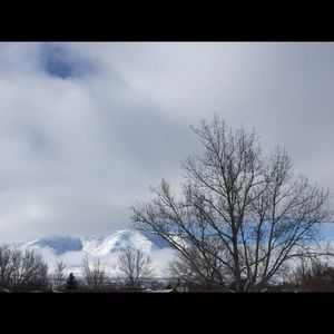 Meet your Posher, Lupe