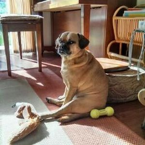 Meet your Posher, Ron