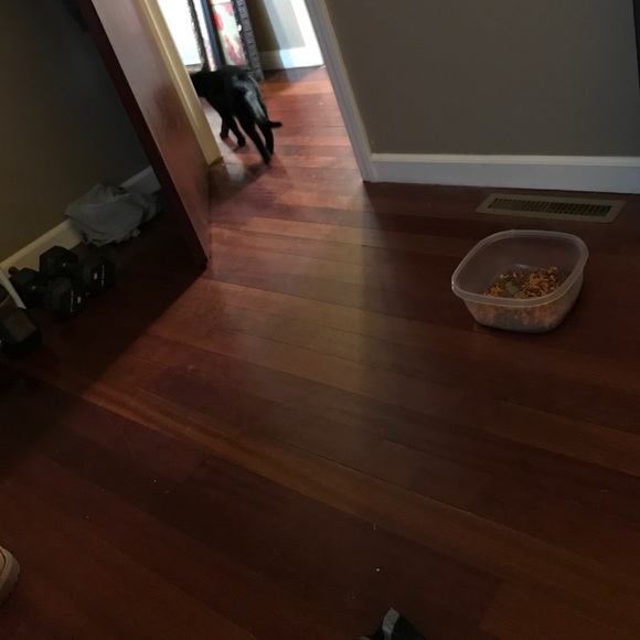 Meet your Posher, Brian - Picture 1 of 1