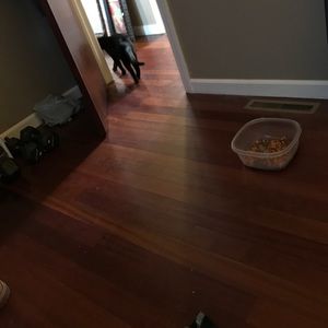 Meet your Posher, Brian