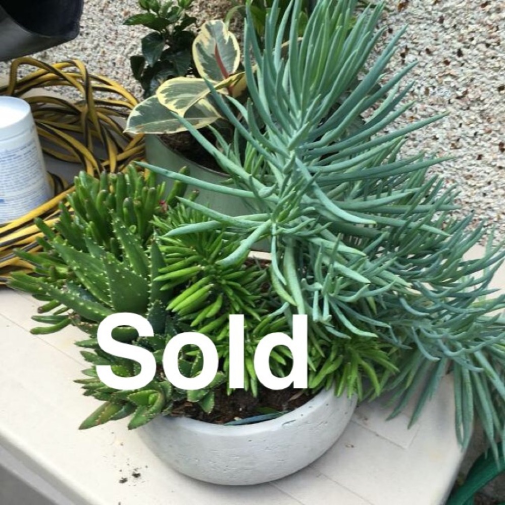 See something you wanted below here?