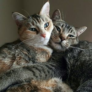 Meet your Posher, Stacey