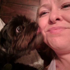 Meet your Posher, Bobbie