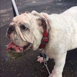 Meet your Posher, Andrea