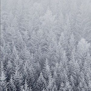 Meet your Posher, Chloe