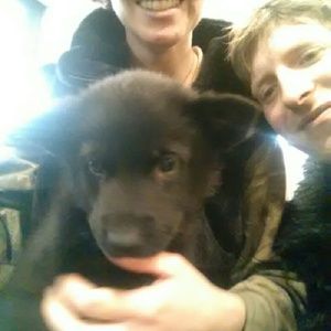 Meet your Posher, Robert