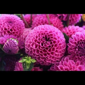 Meet your Posher, My