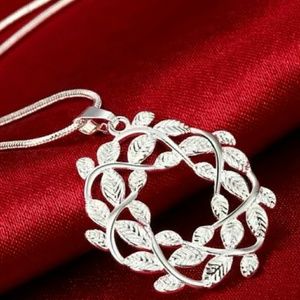 Sterling Silver Necklace Today's  special $45