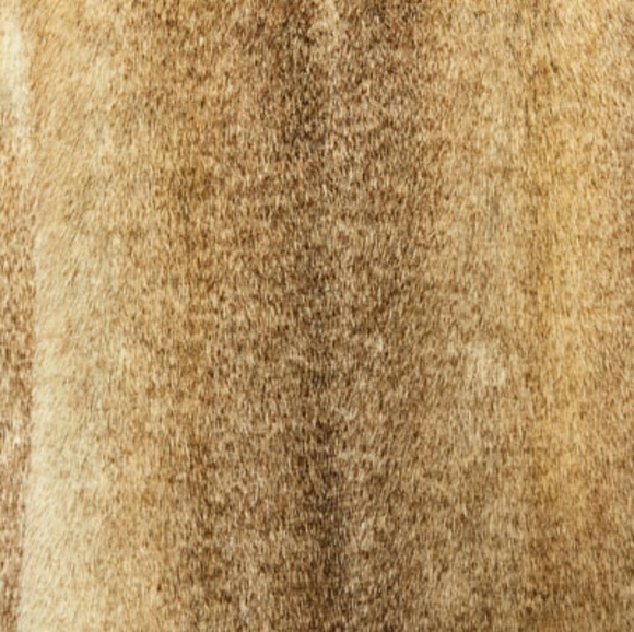 🍁HOST PICK🍁Zara Faux Fur Vest - Picture 5 of 6