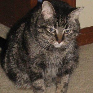 Meet your Posher, Jim