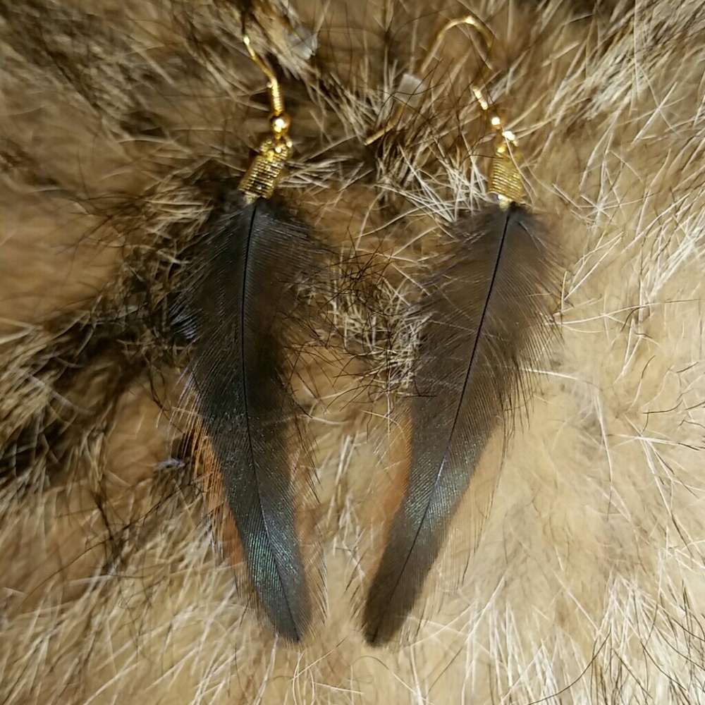 Feather Earrings - Irredecent Black/Green & Brown