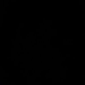 Meet your Posher, Janice