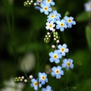 Meet your Posher, Kylie