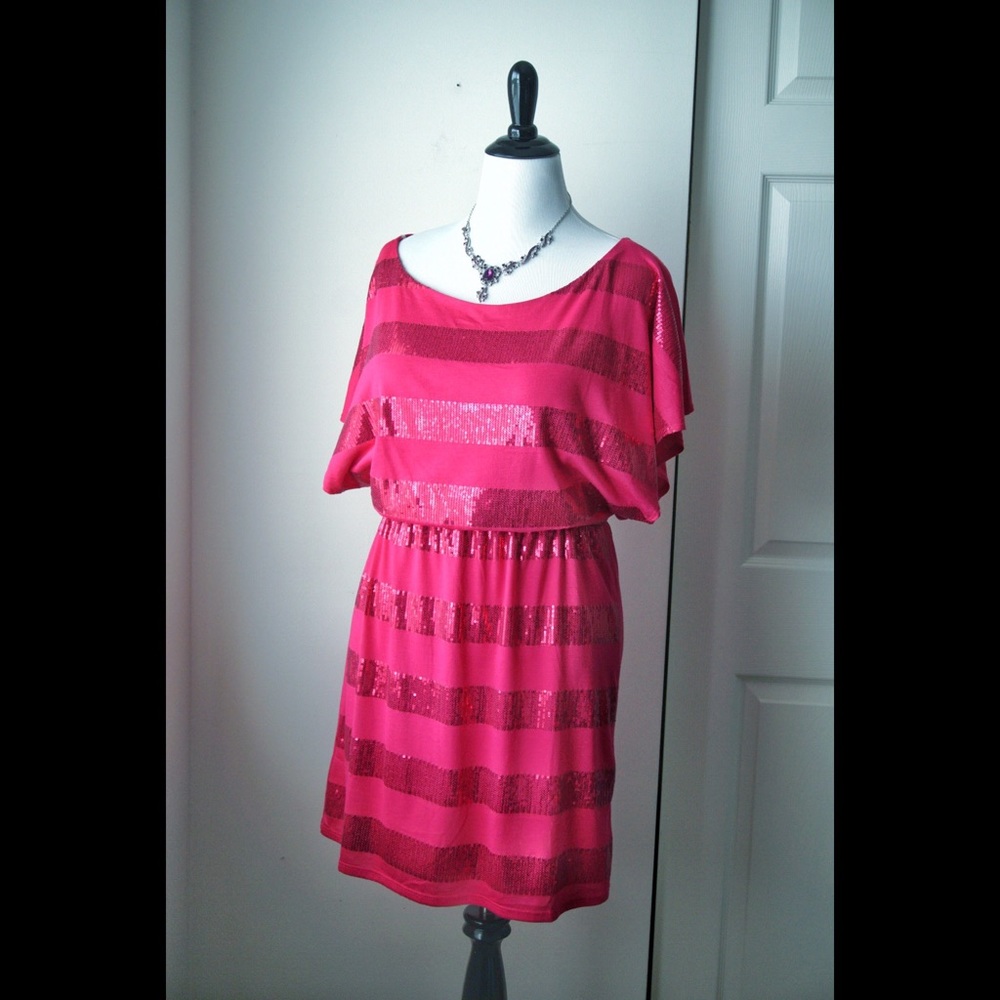 💥FLASH SALE💥 Fuchsia Pink Sequin Stripe Dress