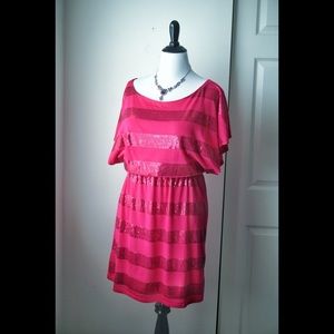 💥FLASH SALE💥 Fuchsia Pink Sequin Stripe Dress