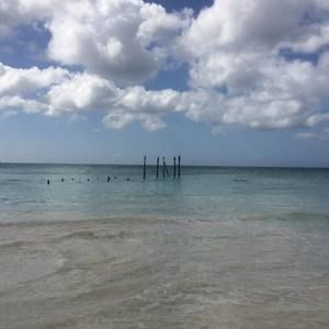 Meet your Posher, Laraine