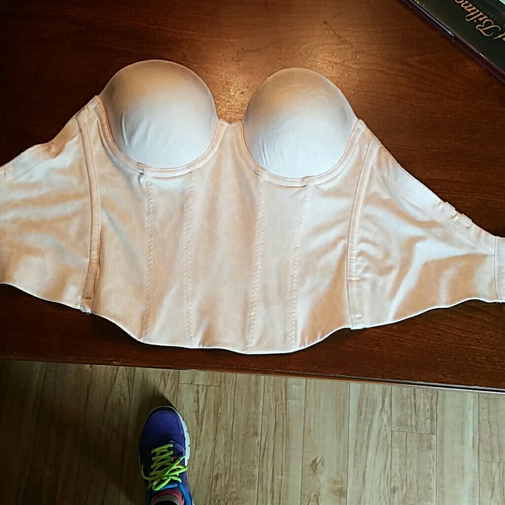 Reposh! Blush corset
