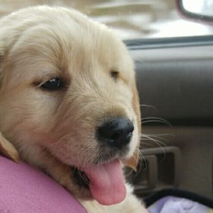 Meet your Posher, Judy