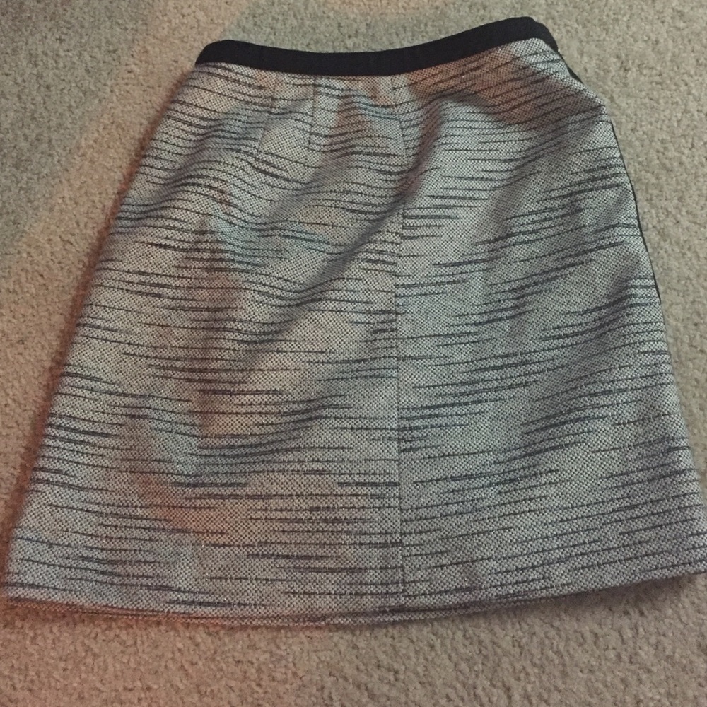 Ann Taylor skirt