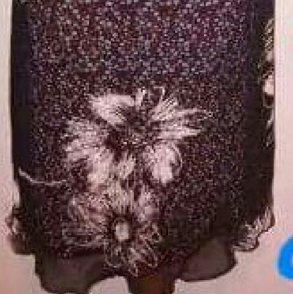 Women's Rag Brand Dress - Picture 4 of 5