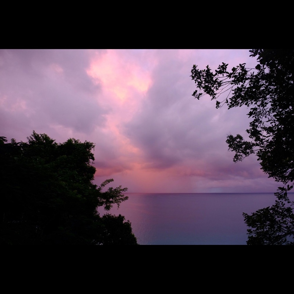 Meet your Posher, Victor