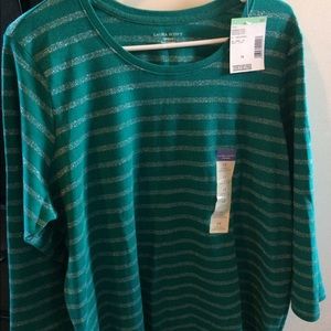 Teal shirt with striped sparkles