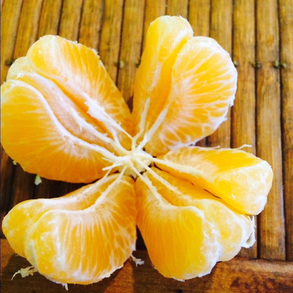 Meet your Posher, Caitlin