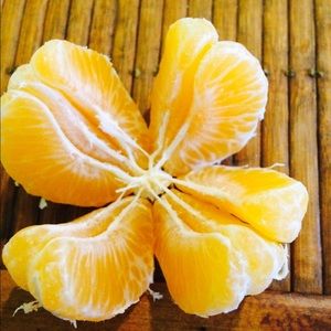 Meet your Posher, Caitlin