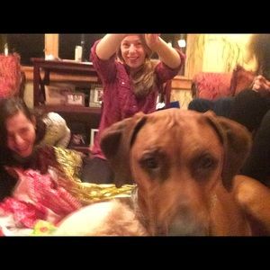 Meet your Posher, Skye