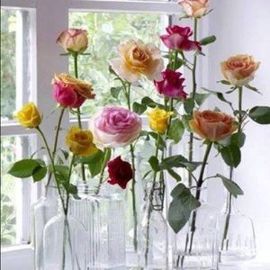 Meet your Posher, Maryam