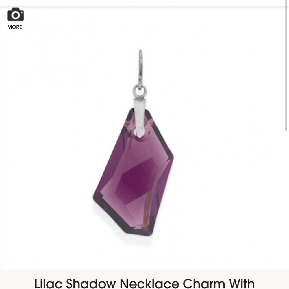Alex and Ani necklace charm. Purple crystal